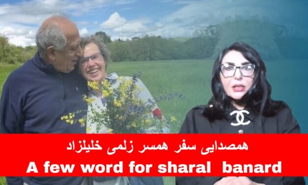 همصدایی سفر همسر زلمی خلیلزاد | A few word for sharal banard | دیدگاه و تبصره با راضیه اختری
